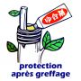 Mastic pour azalées 50 grammes.
