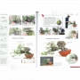 BONSAI FOCUS N° 102