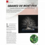 BONSAI FOCUS N° 128