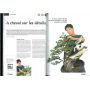 BONSAI FOCUS N° 66
