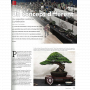 BONSAI FOCUS N° 130