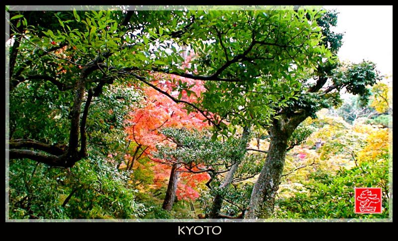voyage-a-kyoto