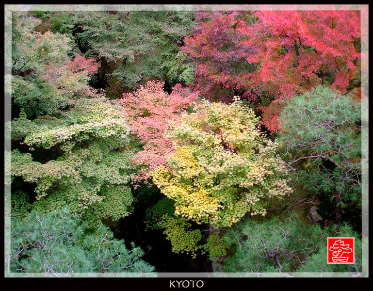 voyage-a-kyoto