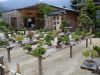 master-kentaro-shiino-s-garden-in-japan