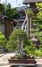 le-jardin-de-maitre-shiino-kentaro
