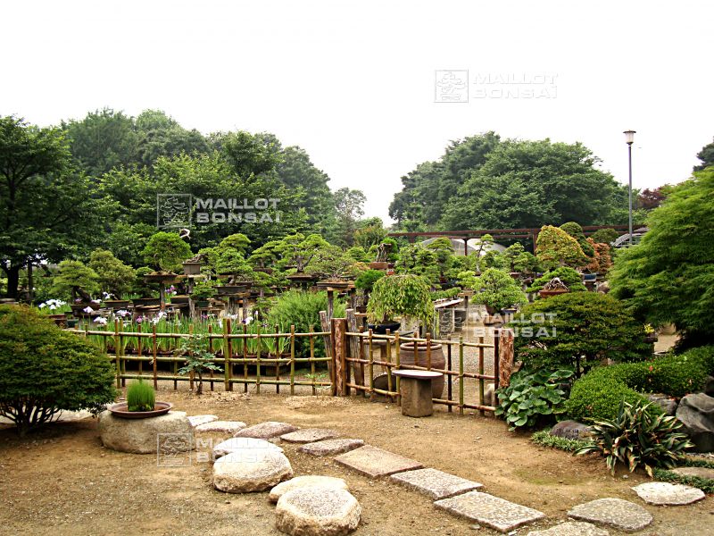 le-jardin-de-me-murakawa-kiyoshi