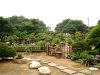 inside-kiyoshi-murakawa-s-bonsai-nursery