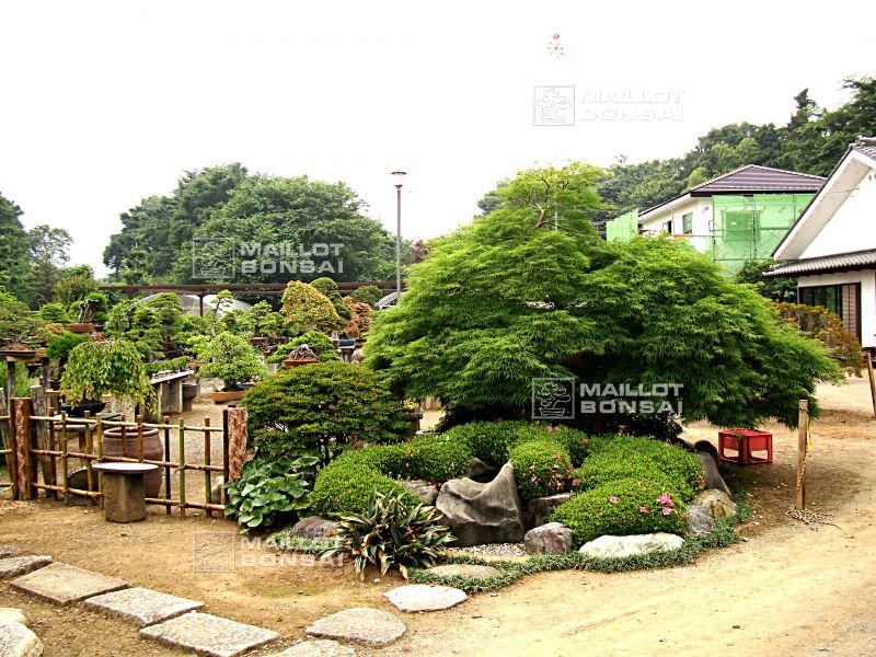 le-jardin-de-me-murakawa-kiyoshi