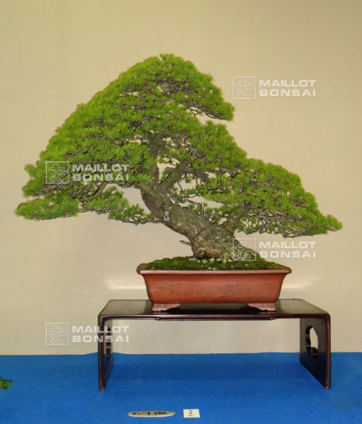 le-jardin-de-me-murakawa-kiyoshi