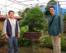 Chiharu Imai's fabulous bonsai garden