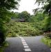 La villa OKOCHI SANSO a Kyoto