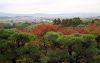 la-villa-okochi-sanso-a-kyoto