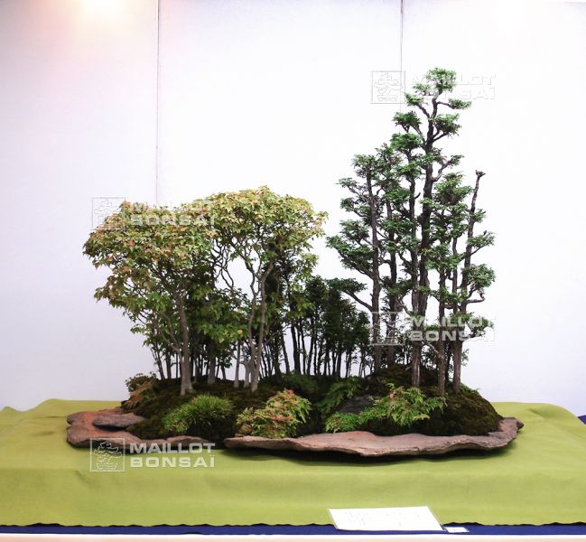 le-monde-fabuleux-de-maitre-saburo-katoh