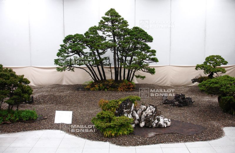 le-monde-fabuleux-de-maitre-saburo-katoh