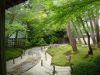 the-vast-adachi-japanese-garden