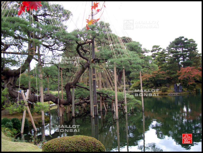 le-jardin-kenroku-en-a-kanazawa
