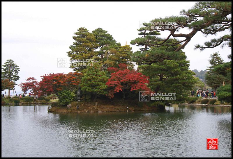 etang-kasumigake