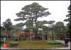 the-kenroku-en-garden-in-kanazawa-city-japan