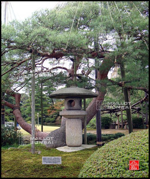 le-jardin-kenroku-en-a-kanazawa