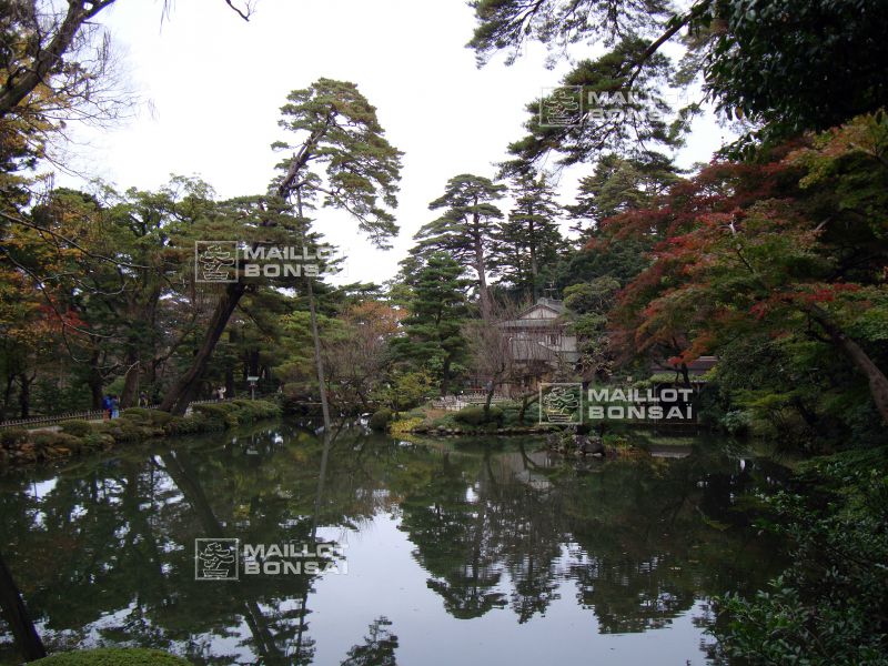 le-jardin-kenroku-en-a-kanazawa
