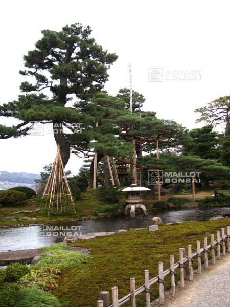 le-jardin-kenroku-en-a-kanazawa