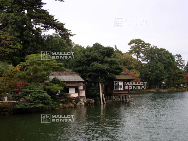 le-jardin-kenroku-en-a-kanazawa