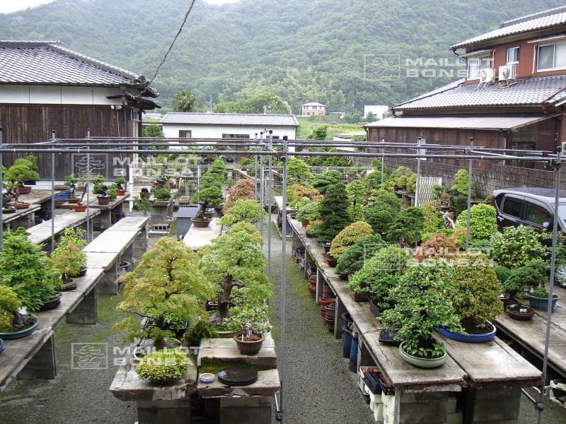 le-jardin-de-me-tomoya-nishikawa