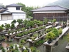 le-jardin-de-maitre-tomoya-nishikawa