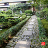 temple-d-anrakuji-a-kyoto