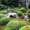 temple-d-anrakuji-a-kyoto