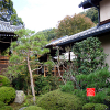 temple-d-anrakuji-a-kyoto