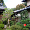 anrakuji-temple-kyoto