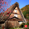 promenade-dans-les-montagnes-japonaises