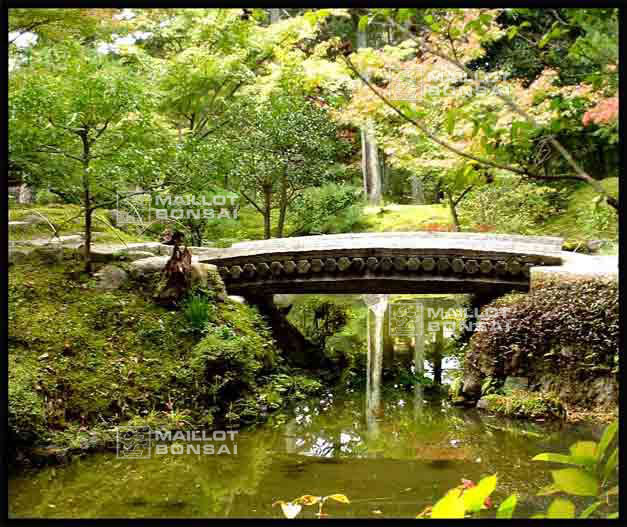 jardins-du-japon-kyoto-automne-2007