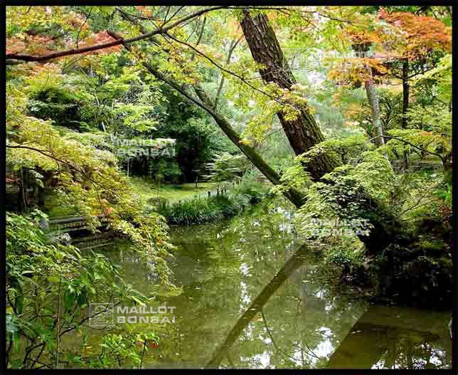 jardins-du-japon-kyoto-automne-2007