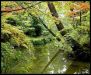 jardins-du-japon-kyoto-automne-2007