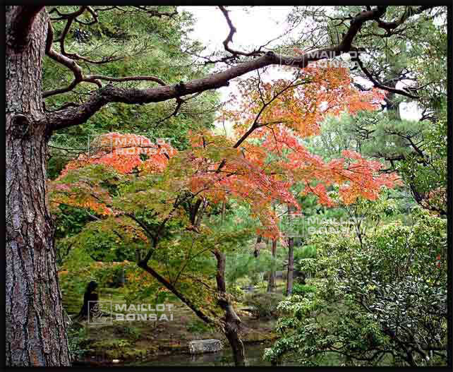 jardins-du-japon-kyoto-automne-2007