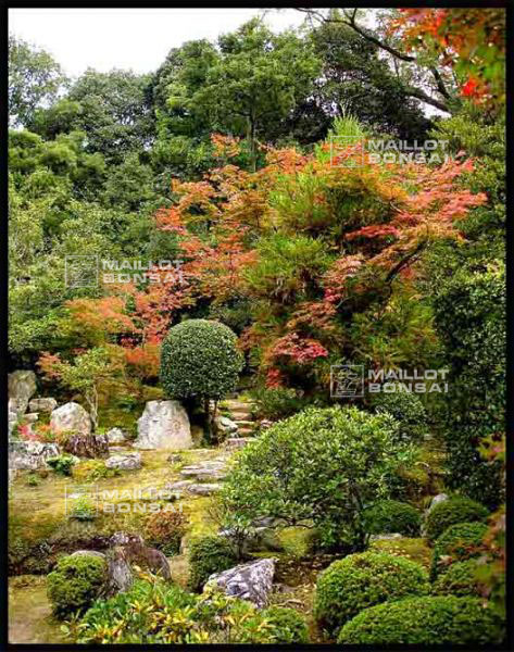 jardins-du-japon-kyoto-automne-2007