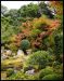 japanese-gardens-in-kyoto-city