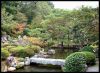 jardins-du-japon-kyoto-automne-2007