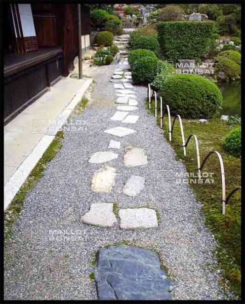 jardins-du-japon-kyoto-automne-2007