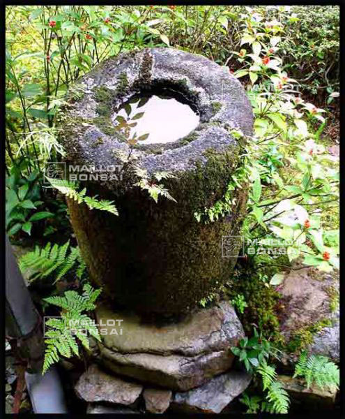 jardins-du-japon-kyoto-automne-2007