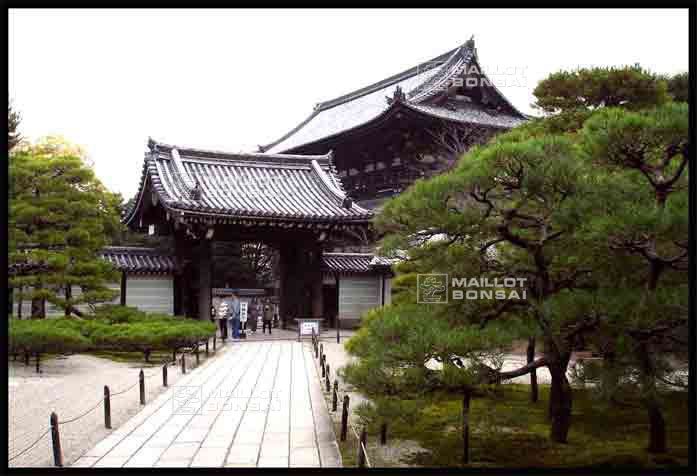 jardins-du-japon-kyoto-automne-2007