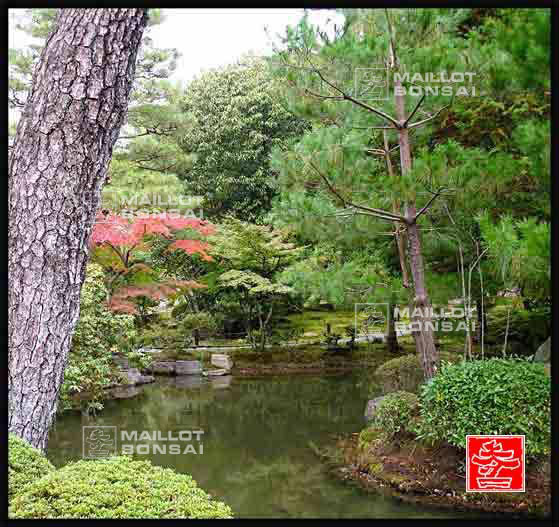 jardins-du-japon-kyoto-automne-2007