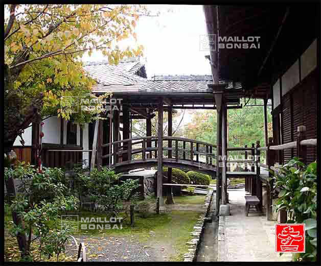 jardins-du-japon-kyoto-automne-2007