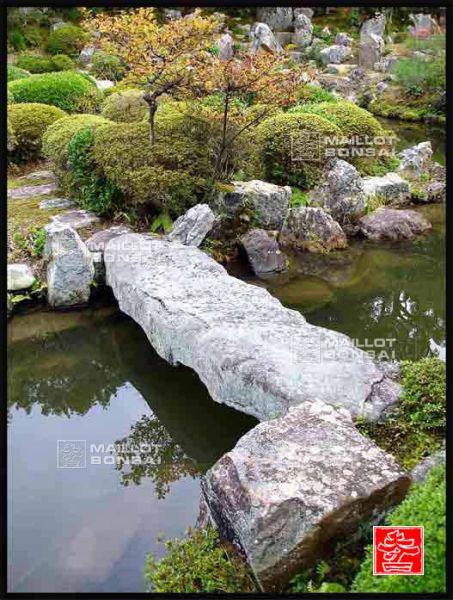 jardins-du-japon-kyoto-automne-2007