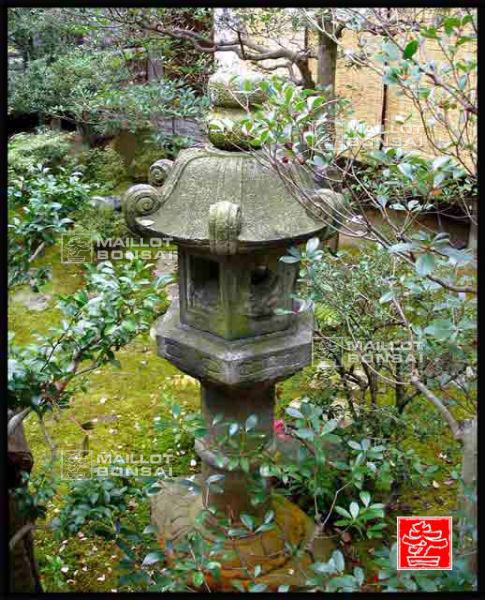 jardins-du-japon-kyoto-automne-2007