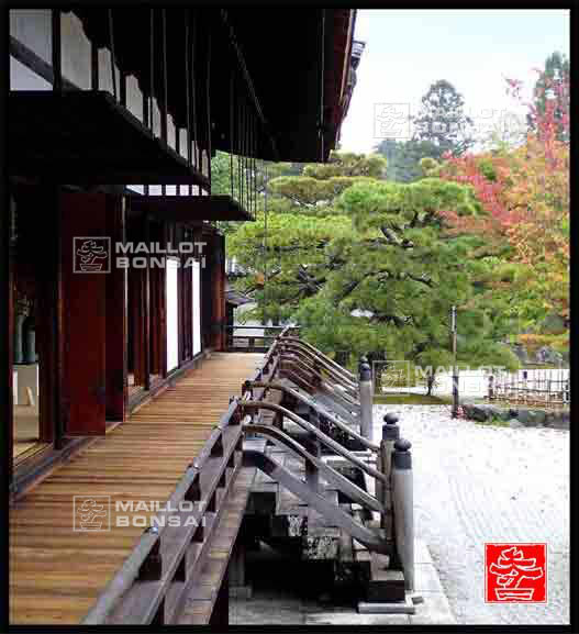 jardins-du-japon-kyoto-automne-2007
