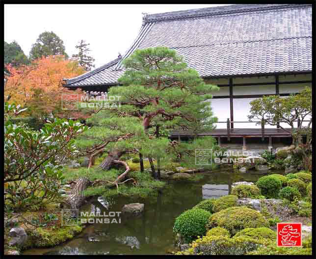 jardins-du-japon-kyoto-automne-2007