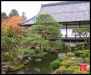 japanese-gardens-in-kyoto-city